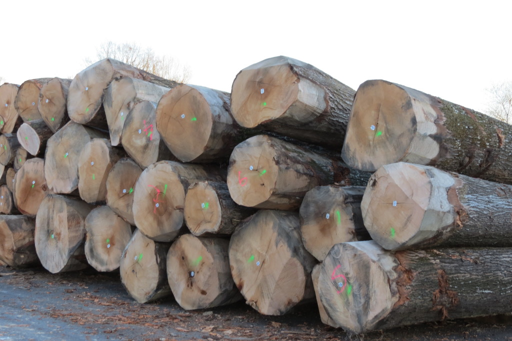 Grumes, Chênes, Forêt - Approvisionnement